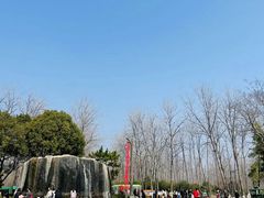 -合肥滨湖国家森林公园
