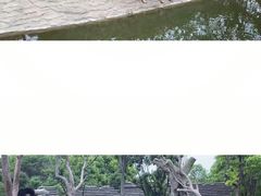 -常州淹城野生动物世界