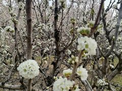 -长春公园(普阳街道)