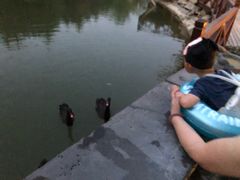-芭东小镇温泉