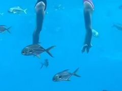 -亚龙湾海底世界