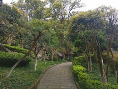 -南山植物园