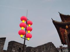 -西湖外事游船(花港观鱼码头)