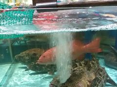 -阿伟海鲜楼·福建菜(延寿店)