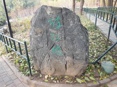 -紫竹院公园冰场