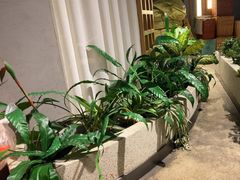 -蘸小院铁锅炖·蘸酱菜·东北菜(怀远门店)