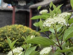 -莲池书院博物馆