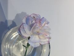 -眉州东坡(石景山店)