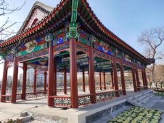 -西海子公园