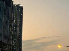 -Big Bus Tours 敞篷观光巴士