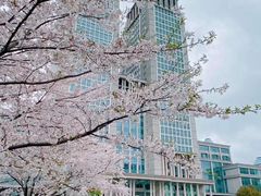 -复旦大学光华楼