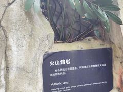 -海口观澜湖火山温泉谷