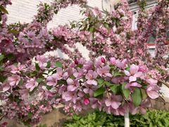 -元大都城垣遗址公园