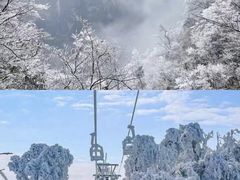 -张家界天门山国家森林公园