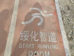 -绥化市森林植物园