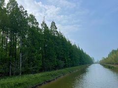 -黄海国家森林公园