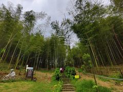 -宁波浙东大竹海景区