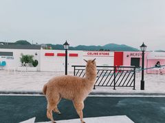 -Blue Concept Cafe&Farm·關於藍