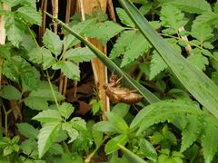 -苏州河梦清园环保主题公园