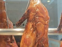 -鲍氏金勺子(恒大店)
