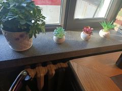 靠窗位-可口香·非遗老号烧烤(南岗直营店)