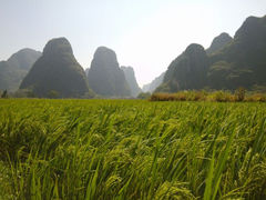 android_upload_pic-钟山水墨田园