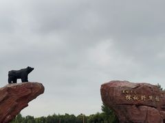 -黑瞎子岛探秘野熊园