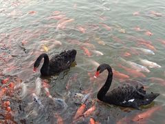 -春晖园度假酒店温泉