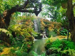 -Chom Cafe and Restaurant