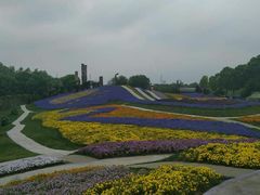 -南通洲际绿博园