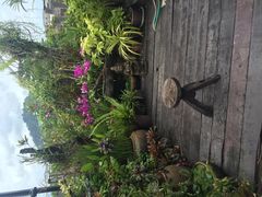 -自然餐厅(Phuket)
