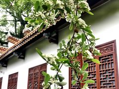 -南岳衡山风景名胜区-南岳大庙