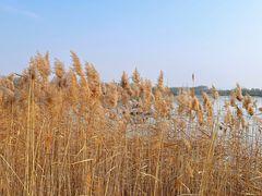 -野鸭湖国家湿地公园