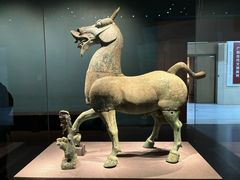 -广西壮族自治区博物馆