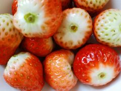 -PAGODA百果园(深圳天琴阁店)