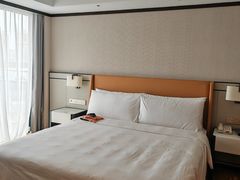-佛山岭南天地康得思酒店
