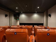 -SFC上影百联影城(八佰伴IMAX店)