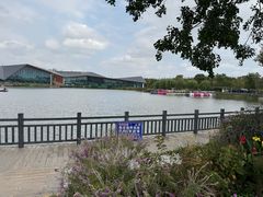 -上海长兴岛郊野公园