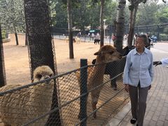 -大连森林动物园