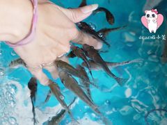 -泰国鱼疗足疗馆