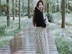 -黄海国家森林公园