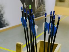 -道顺射箭·团建·骑射(张杨路店)