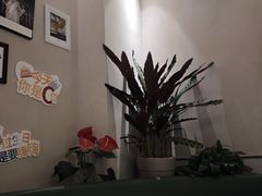 -Aqua Oasis 水天堂(太湖中心mall店)