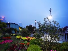 -城市阳台