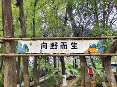-南京晨光1865创意产业园