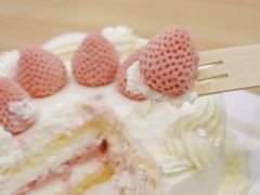 -壹点壹客·生日蛋糕(南山店)