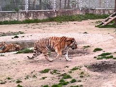 -西安秦岭野生动物园