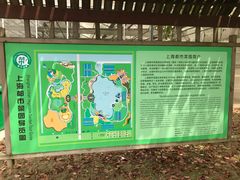 -上海都市菜园