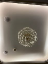 -伊然美产后恢复中心(海珠妇幼店)