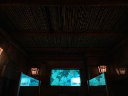 -翱翔飞越地平线